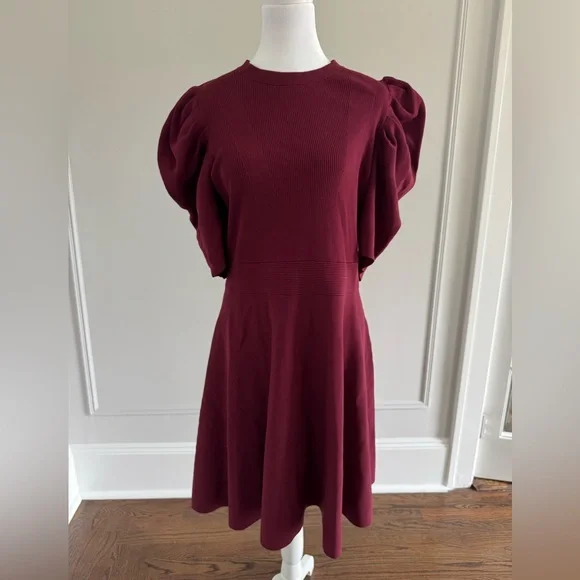wine coloured skater dress boohoo Women's Lace Structured Mini Skater Dress
